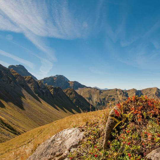 Diemtigtal - Naturpark im Berner Oberland 10