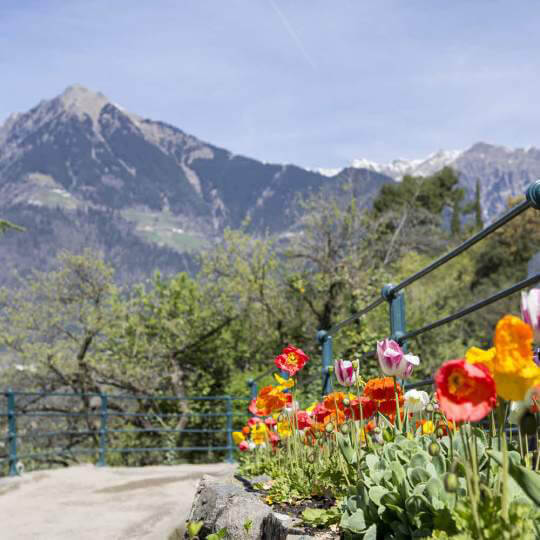  Meran - bekannter Kurort in Südtirol 11