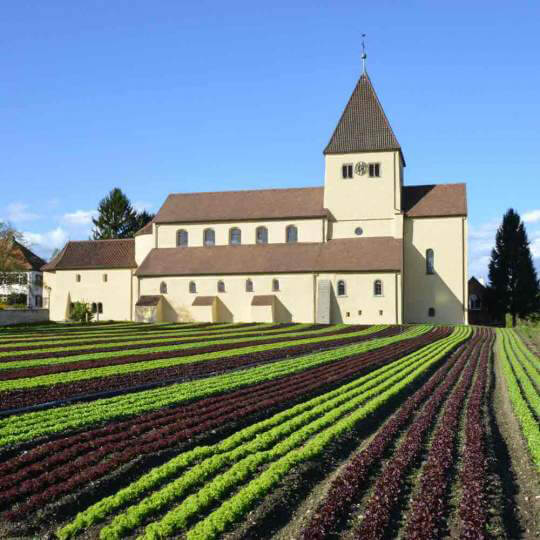 Klosterinsel Reichenau UNESCO Weltkulturerbe 10