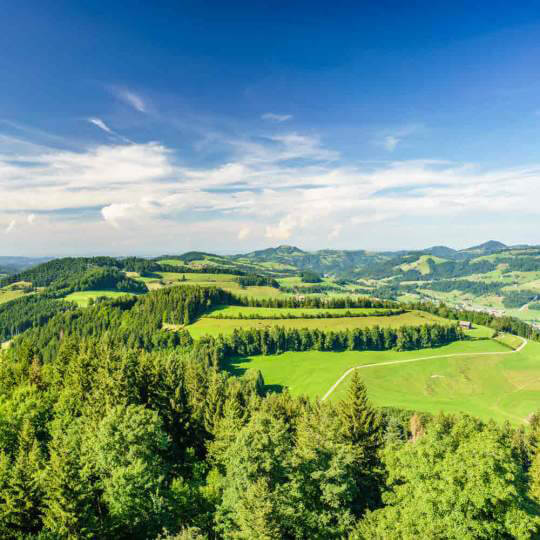  Aussichtsplattform Bachtel – Gibswil/Wald  11