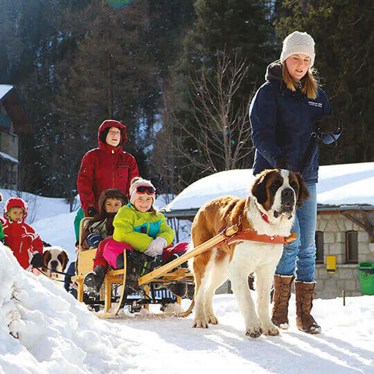 Vorschaubild zu Winterwanderung mit Barry, dem Schweizer Nationalhund