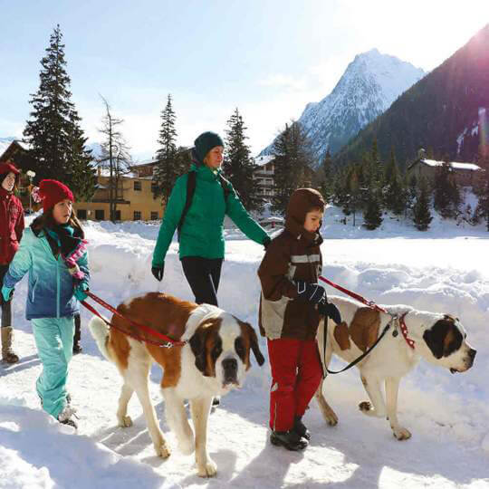 Winterwanderung mit Barry, dem Schweizer Nationalhund 10
