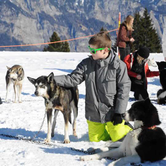  Huskystuff - Schlittenhunde Touren in der Ostschweiz/GR 11