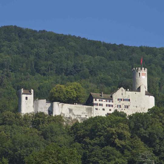  Schloss Neu-Bechburg Oensingen 11