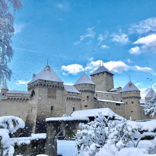Schloss Chillon – mittelalterliches Meisterwerk 10