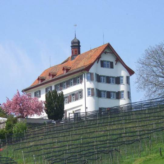  Schloss Dottenwil Wittenbach 11