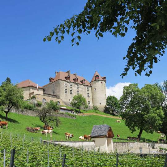  Schloss Greyerz - Château de Gruyères, Greyerz 11
