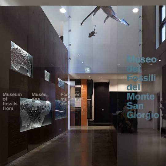 Fossilienmuseum des Monte San Giorgio in Meride 10