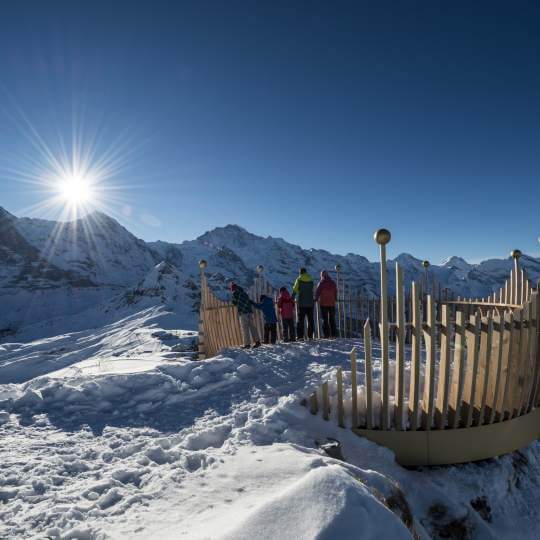 Vorschaubild zu Gondelbahn Grindelwald Männlichen