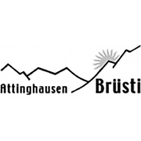 Logo zu Attinghausen - Einzigartige Sommererlebnisse