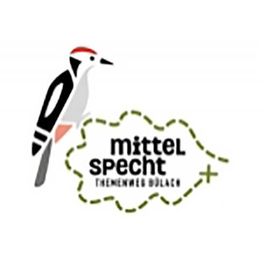 Logo zu Themenweg Mittelspecht Bülach