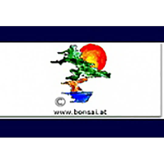 Logo zu Bonsaimuseum