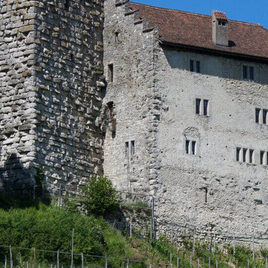  Schloss Habsburg im Aargau  11
