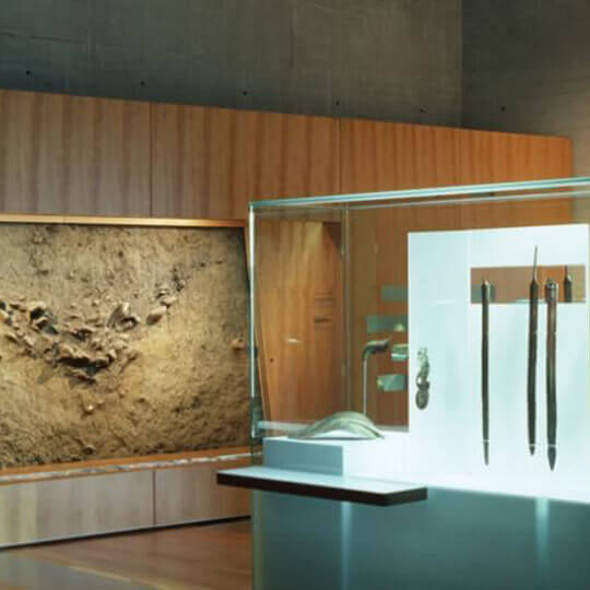  Laténium Parc et Musée d'archéologie de Neuchâtel 11